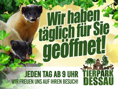 TP allgemein.png