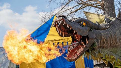 Drache