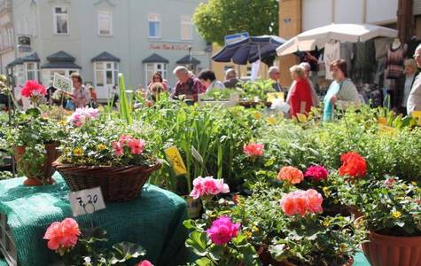 Gartenschau