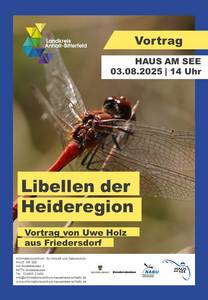Plakat Libellen_HS.jpg