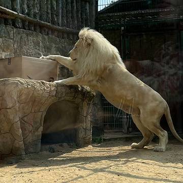 Zoo Aschersleben, © Aschersleber Kulturanstalt